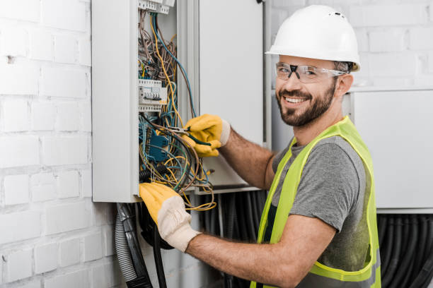 Best Generator Installation Services  in Spring Arbor, MI