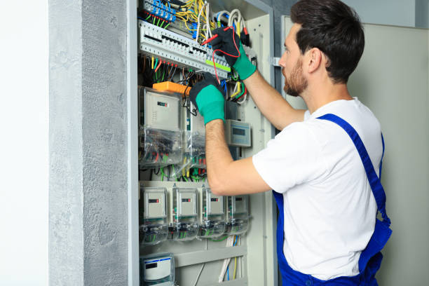 Best Electrical System Inspection  in Spring Arbor, MI