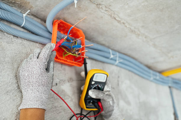 Best Affordable Electrician  in Spring Arbor, MI