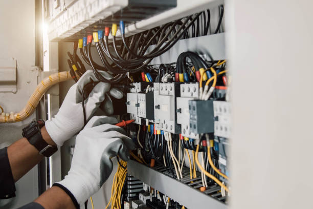 Best Licensed Electrician  in Spring Arbor, MI